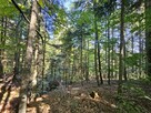 Działka rolno leśna- Żurowa- Szerzyny- Małopolska - 7