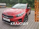 Kia XCeed Salon Polska fv 23% panorama full wyposażenie - 1