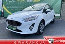 Ford Fiesta - 1