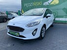 Ford Fiesta - 10