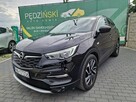 Opel Grandland X - 1