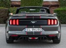 Ford Mustang Lift ! Cabrio 2.3i 317KM Super Stan ! Zarejestrowany ! - 14