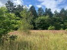 Działka budowlana Wagowo gm. Pobiedziska, - 2