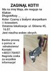 ZAGINĄŁ KOT!!! Bogatynia - 2