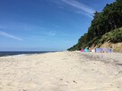 Wynajmę działkę dla 6 kamperów nad morzem w Dziwnówku / week - 1