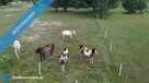 Ostatnia działka bez dalszej zabudowy - 4