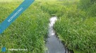 Ostatnia działka bez dalszej zabudowy - 5