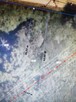 Działka w Drohiczynie 371m2 nad Bugiem - 8