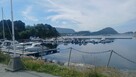 Kierowca Pani / Pan - 2