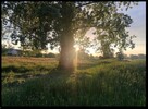 Działka budowlana nad morzem dla dewelopera - 7