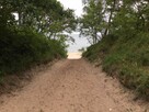 Wynajmę działkę dla 6 kamperów nad morzem w Dziwnówku / week - 2
