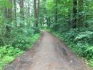 Wynajmę działkę dla 6 kamperów nad morzem w Dziwnówku / week - 3