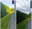 Usługi pielęgnacji ogrodów - 13