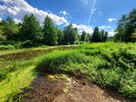 Działka rekreacyjna 30 arów nad rzeką lubaczówka. - 2