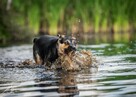 Rety!Jak to się wydarza, że ta dama ciągle sama-adoptuj Sarę - 16