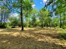 Działka rekreacyjna 30 arów nad rzeką lubaczówka. - 7