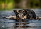 Rety!Jak to się wydarza, że ta dama ciągle sama-adoptuj Sarę - 14
