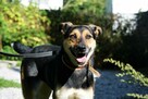 Rety!Jak to się wydarza, że ta dama ciągle sama-adoptuj Sarę - 7