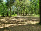 Działka rekreacyjna 30 arów nad rzeką lubaczówka. - 4