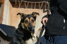 Rety!Jak to się wydarza, że ta dama ciągle sama-adoptuj Sarę - 3