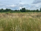Działka budowlana Poznań gm. Poznań-Stare Miasto Radojewo, - 3