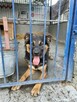 Racuch szuka domu, pies, 1 rok, w typie owczarka, młody - 7