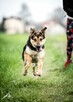 Rety!Jak to się wydarza, że ta dama ciągle sama-adoptuj Sarę - 13