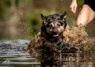 Rety!Jak to się wydarza, że ta dama ciągle sama-adoptuj Sarę - 9