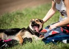 Rety!Jak to się wydarza, że ta dama ciągle sama-adoptuj Sarę - 8