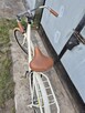 Rower damka PELIKAAN URBAN holenderka - 2