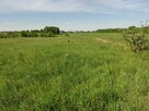 Działki na wynajem - 4