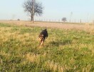 Rety!Jak to się wydarza, że ta dama ciągle sama-adoptuj Sarę - 15