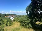 Dom Biały Kościół gm. Strzelin, - 7