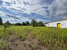 1,5 ha produkcja, składy, magazyny + hala 1100 m2 - 7