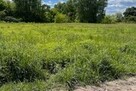 Działka do wynajęcia w Radzyminie – 2000 m² - 3