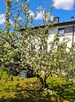 Działka rekreacyjna Łódź gm. Łódź-Górna Górna, Wazów - 14