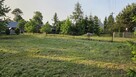 Działka 2,5h gospodarstwo rolne, podział na dz. budowlane - 5