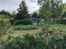 Działka ROD, Łódź - Górna (Pryncypalna) - 6