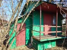 Działka ROD nr965 Stalowa Wola Hutnik II - 2