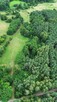 Działka rolna 5426 m² – Strobów, gm. Skierniewice, woj. łódz - 4