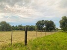 Nieruchomość 16 650 m2 działki budowlane i rolna - 4