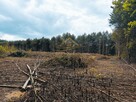 Działka rolno-budowlana Żabia Wola, św. Anny - 9