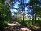 Działka rolno-budowlana Żabia Wola, św. Anny - 10