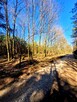 Działka rolno-budowlana Żabia Wola, św. Anny - 15