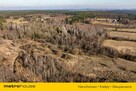 DUŻA DZIAŁKA ROLNO-LEŚNA - 5
