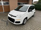 Fiat Panda 1,2 69KM  Klimatyzacja - 12