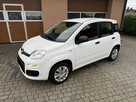 Fiat Panda 1,2 69KM  Klimatyzacja - 13
