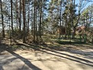 Działka budowlana Nowe Załubice gm. Radzymin, Szumiących Traw - 9