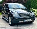 Mercedes ML420CDI 4Matic AMG Full Pakiet Bardzo Ładny Zarejestrowany - 15