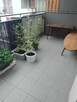 Wynajmę miesz. w apart. Siewna 30B - 12